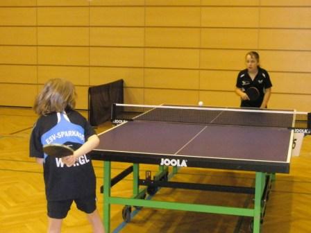 P5150028k.jpg